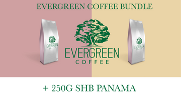 Evergreen Coffee Bundle